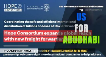 Vaccinations: Essential for Travel from US to Abu Dhabi