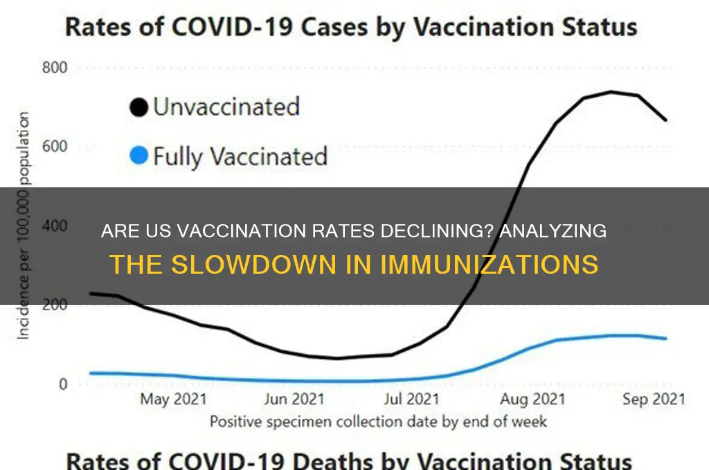 are vaccinations slowing down in us