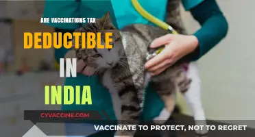 Are Vaccination Costs Tax Deductible in India? A Comprehensive Guide