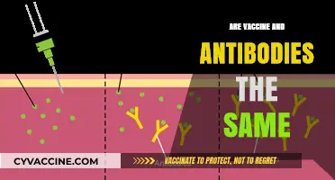 Vaccines vs. Antibodies: Understanding Their Unique Roles in Immunity