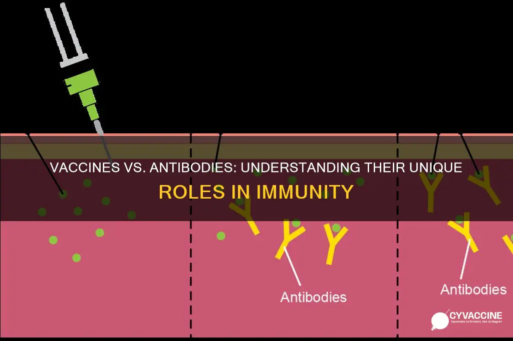 are vaccine and antibodies the same