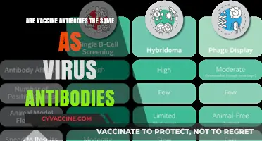 Vaccine vs. Virus: Antibody Differences Explained