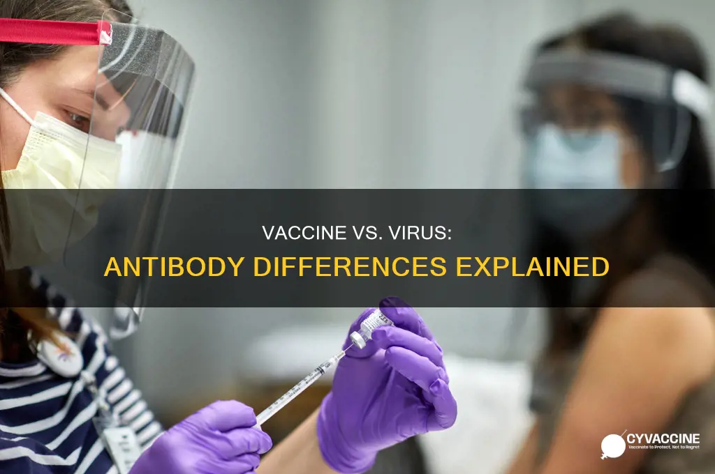 are vaccine antibodies the same as virus antibodies