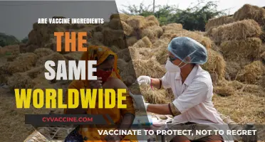 Global Vaccine Ingredients: Are Formulations Uniform Across Countries?