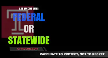 Vaccine Laws: Federal vs. Statewide Authority Explained