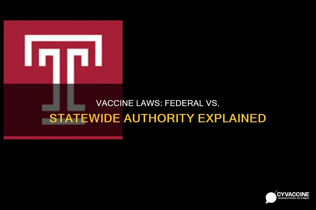are vaccine laws federal or statewide