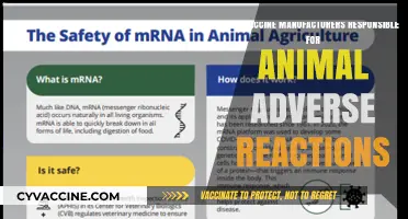 Vaccine Manufacturers: Liable for Pet Adverse Reactions?