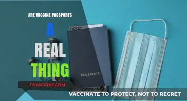 Are Vaccine Passports Real? Exploring Their Existence and Implications