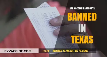 Texas Vaccine Passports: Are They Banned or Still in Use?