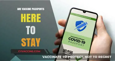 Vaccine Passports: A Temporary Measure or Long-Term Reality?