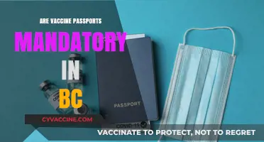 Are Vaccine Passports Mandatory in BC? What You Need to Know