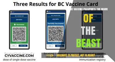 Vaccine Passports: Biblical Mark or Misinformation?
