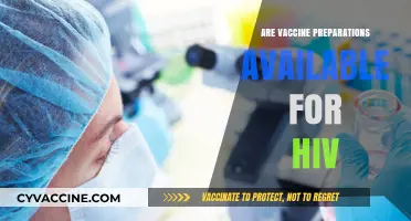 HIV Vaccine Preparations: Current Status and Future Prospects