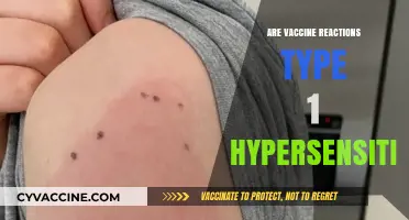 Vaccine Reactions: Understanding Type 1 Hypersensitivity Responses and Symptoms
