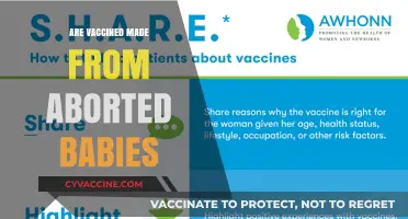 Vaccines and Abortion: Separating Fact from Fiction in Medical Science
