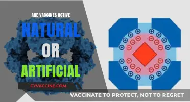 Vaccines: Understanding Their Nature as Active, Natural, or Artificial Solutions