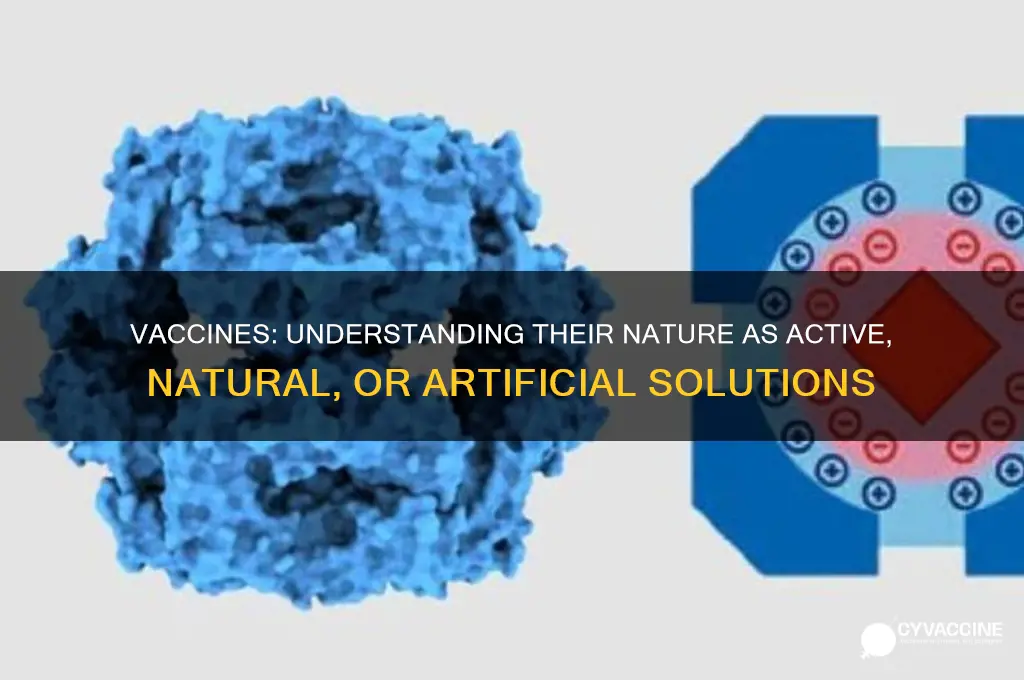 are vaccines active natural or artificial