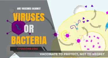Vaccines Explained: Targeting Viruses vs. Bacteria for Better Health