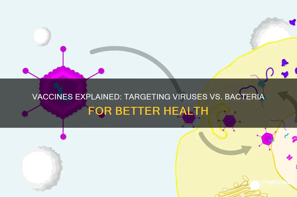 are vaccines against viruses or bacteria