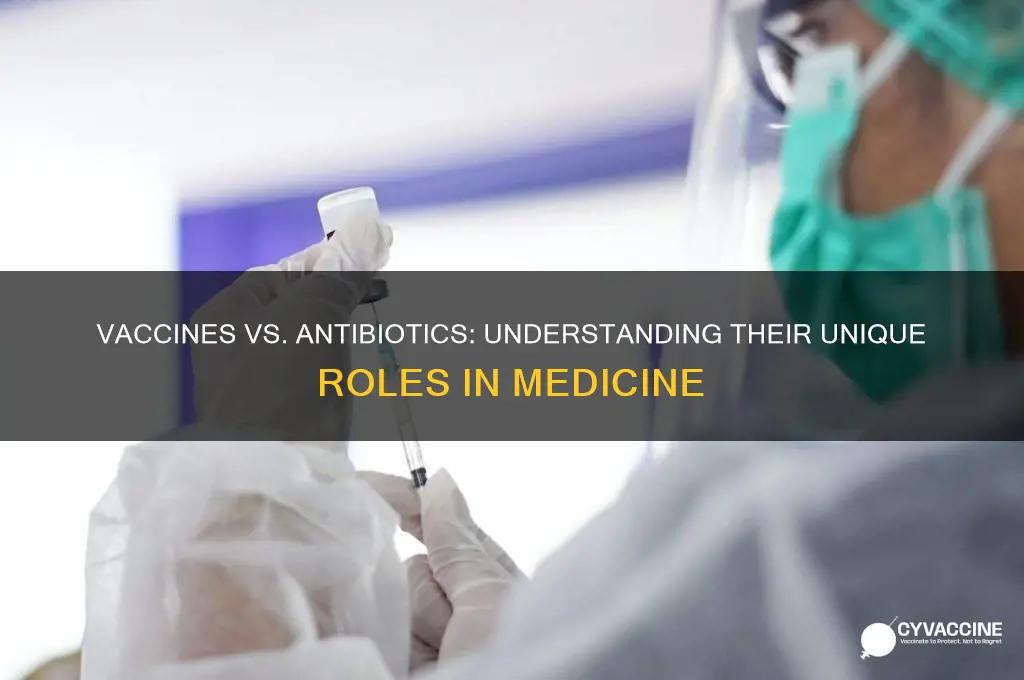 are vaccines and antibiotics the same