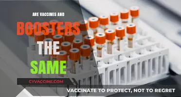 Vaccines vs. Boosters: Understanding the Key Differences and Similarities