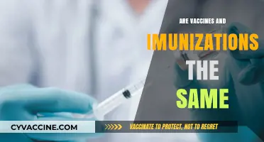 Vaccines vs. Immunizations: Understanding the Key Differences and Similarities