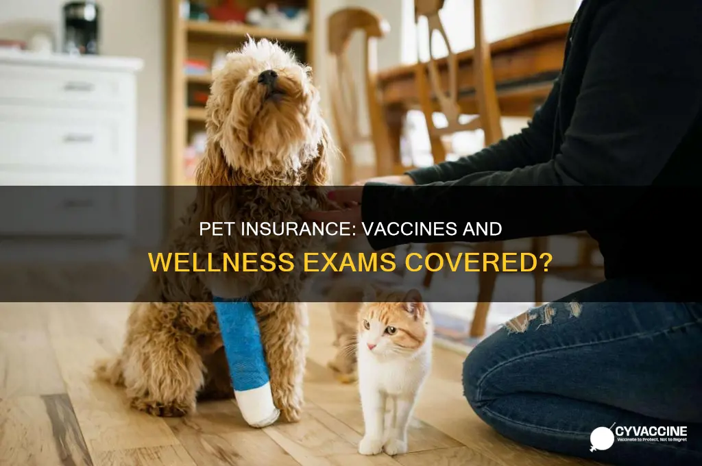 are vaccines and wellness exams covered by pet insurance