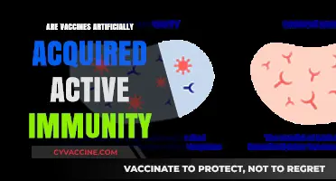 Vaccines and Immunity: Understanding Artificially Acquired Active Protection