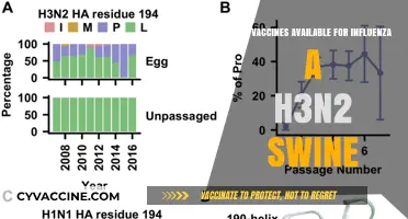 Swine Flu Vaccines: Effective Treatment for H3N2 Influenza A