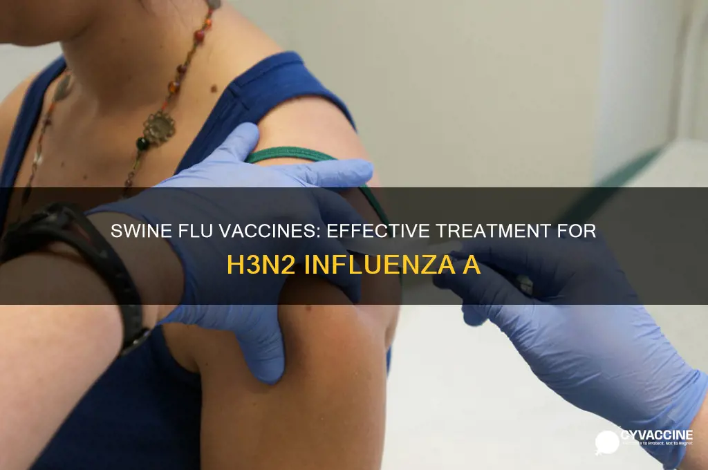are vaccines available for influenza a h3n2 swine