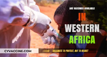 Vaccine Accessibility in Western Africa: Current Availability and Challenges