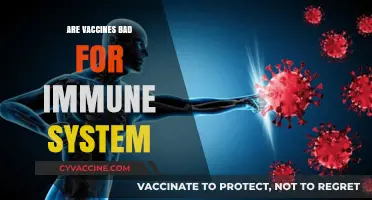 Debunking Myths: Do Vaccines Weaken or Strengthen Your Immune System?
