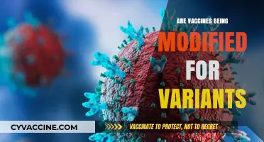 Vaccine Updates: How Are They Adapting to New COVID Variants?