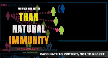 Vaccines vs. Natural Immunity: Which Offers Superior Protection?