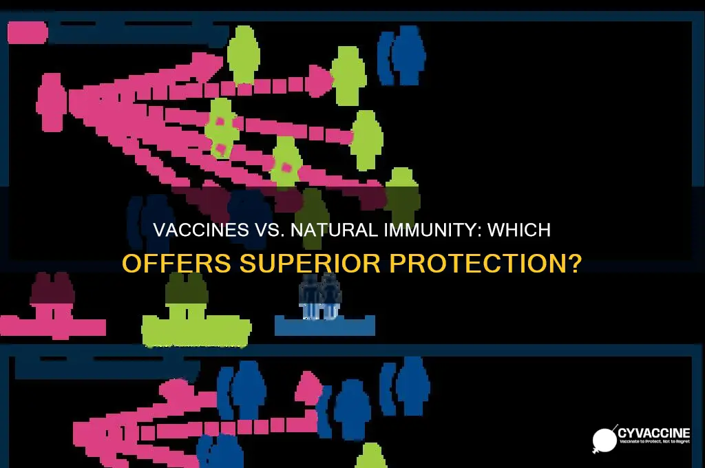 are vaccines better than natural immunity