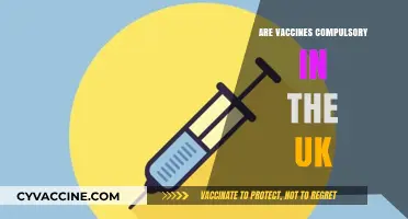 Are Vaccines Compulsory in the UK? Understanding Current Policies and Laws