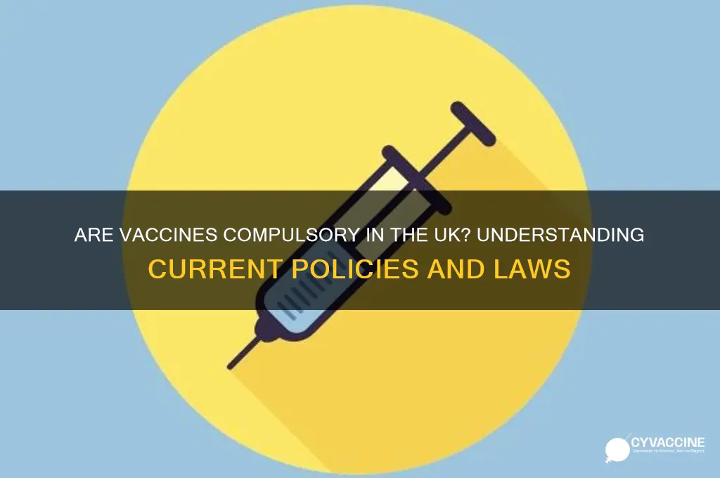 are vaccines compulsory in the uk
