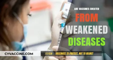 Understanding Vaccines: How Weakened Pathogens Protect Against Diseases