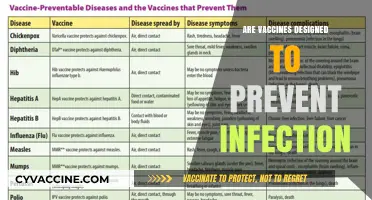 Do Vaccines Prevent Infection? Understanding Their Primary Purpose and Limits