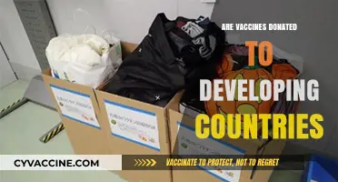Global Vaccine Equity: Are Donations Reaching Developing Nations?
