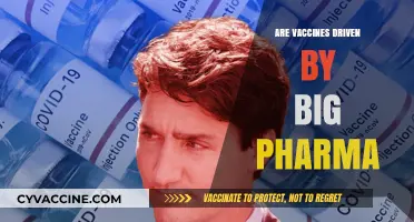 Big Pharma's Role in Vaccine Development: Profit or Public Health?