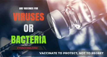 Vaccines Explained: Targeting Viruses vs. Bacteria for Optimal Health