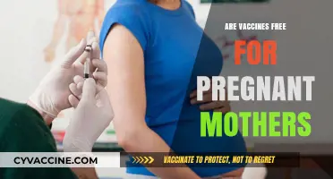 Vaccines for Pregnant Moms: Are They Free and Accessible?
