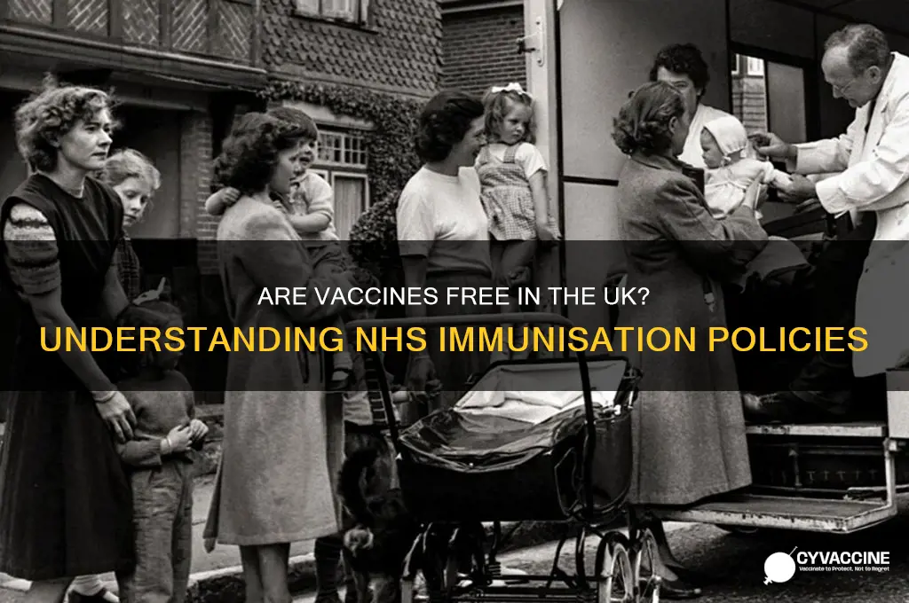 are vaccines free in the uk
