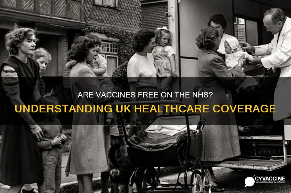 are vaccines free on the nhs