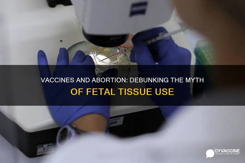 are vaccines gottenbtrom aborted human fetuses