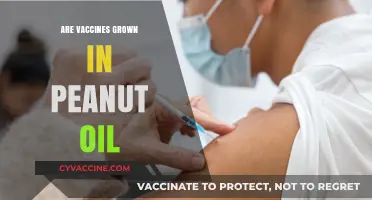 Vaccines and Peanut Oil: Unraveling the Myth and Facts