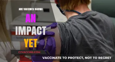 Are Vaccines Making a Difference? Early Impacts and Future Prospects