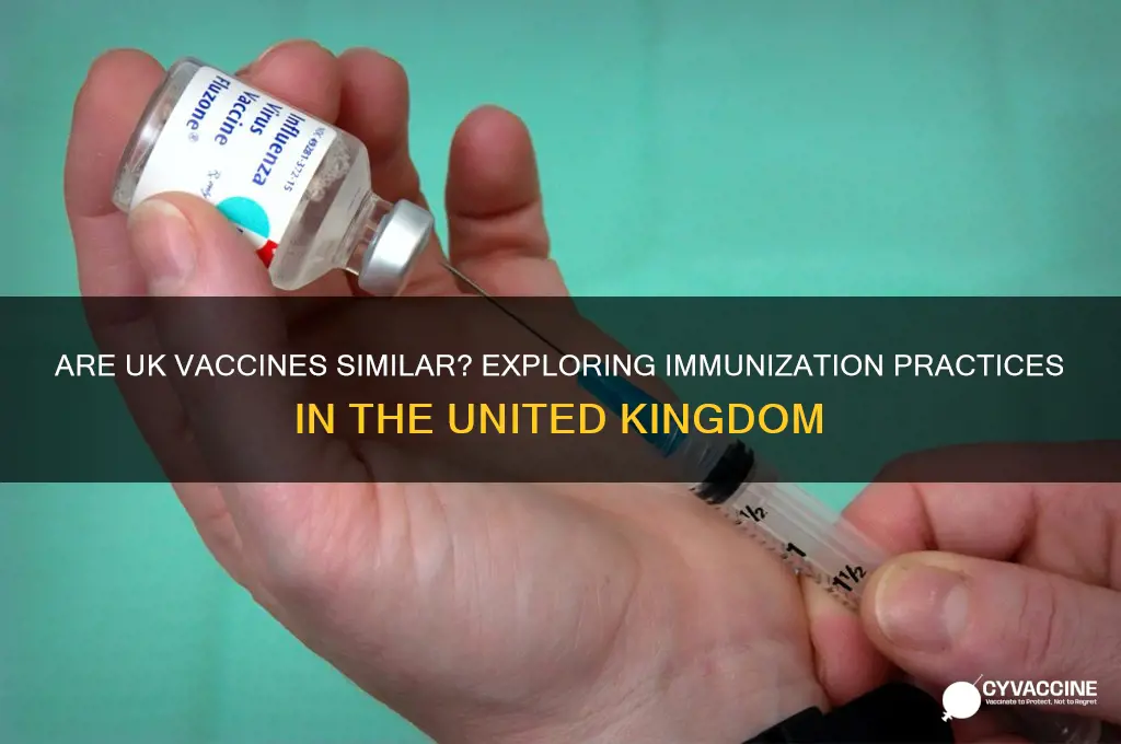 are vaccines in teh uk similar