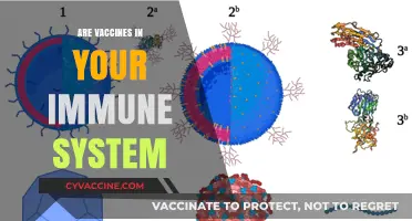 Vaccines and Immunity: How They Strengthen Your Immune System